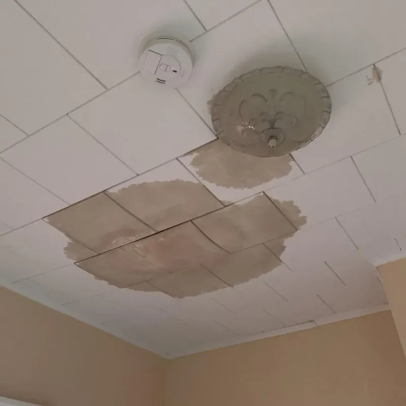 Ceiling Water Damage Repair in Double Oak, TX