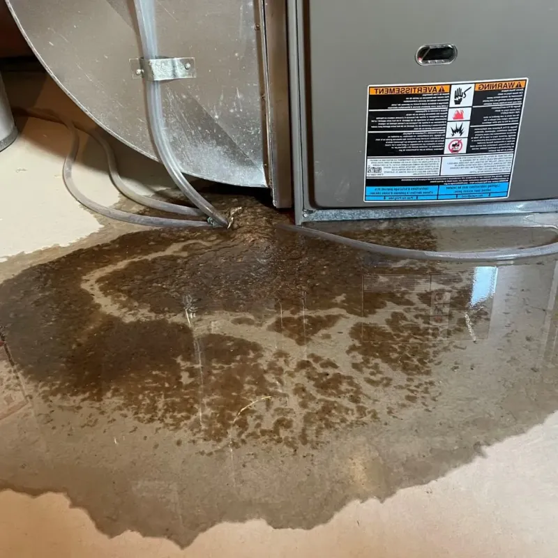 Pipe Burst and Leak Restoration in Double Oak, TX