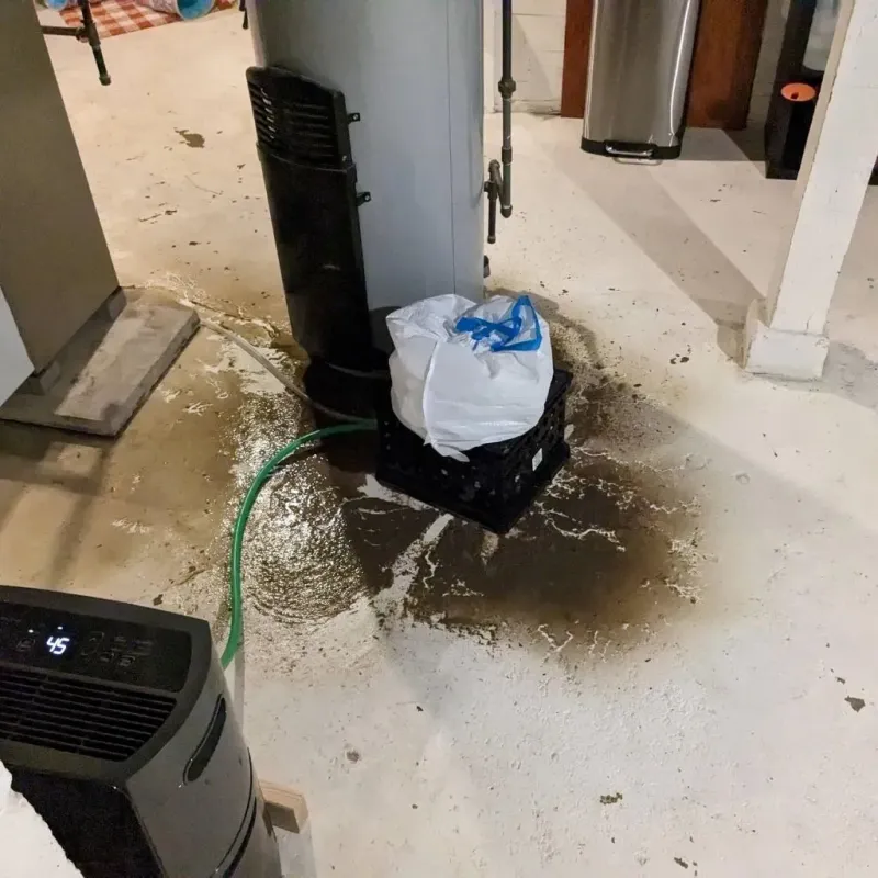 Sewage Backup Cleanup Service in Double Oak, TX